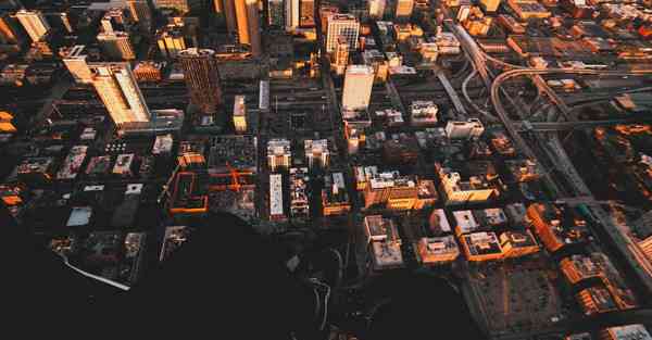 外国语单招大数据的行业文章